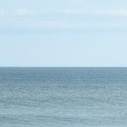 Предлагаемая методика распространяется на случаи, когда вид водных биоресурсов только вводится в промысел, когда рыбаки получают возможность осваивать новый район или когда снято ограничение на добычу
