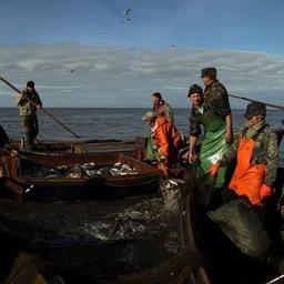 Рыбный промысел на озере Ильмень