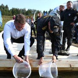 В Тверской области руководитель Росрыболовства Илья ШЕСТАКОВ принял участие в выпуске молоди стерляди в Волгу. Фото пресс-службы ведомства