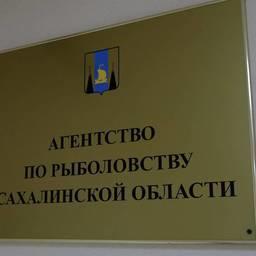 Сахалинскому агентству по рыболовству подберут главу