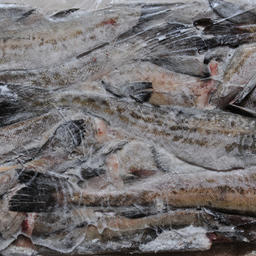 Одна из частых позиций списка – мороженая рыба