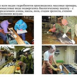 Слайд из презентации Алексея ХОРУЖИЯ для лекции