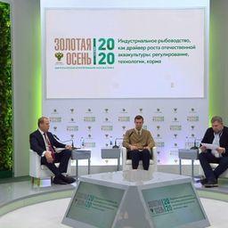 Перспективы отечественной аквакультуры обсудили на онлайн-мероприятии в рамках выставки «Золотая осень 2020»