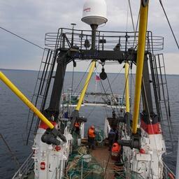 Район работ охватил обширную акваторию в территориальных и внутренних морских водах России, включая прибрежную зону мурманского побережья и Воронку Белого моря. Фото пресс-службы ПИНРО