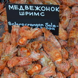 В числе прочих лотов рыбакам предлагают шримсов-медвежат в подзоне Приморье