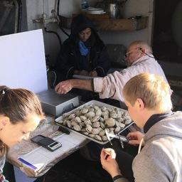 Одним из объектов исследований была спизула. Фото пресс-службы филиала