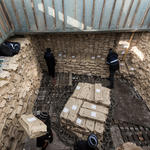 Выгрузка упакованной рыбопродукции из судового трюма