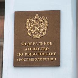 Изменения в таблицы распределения инвестиционных квот трески и пикши по пользователям Северного бассейна внесены приказом Росрыболовства