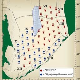 Схема съемок, выполненных в Охотском море. Изображение предоставлено пресс-службой ТИНРО