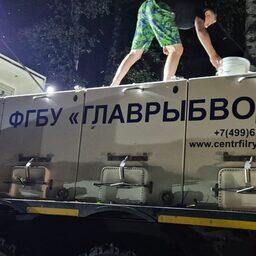 Специалисты отправили в реку 50 тыс. экземпляров молоди стерляди. Фото пресс-центра Главрыбвода