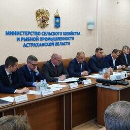 В министерстве сельского хозяйства и рыбной промышленности Астраханской области прошло рабочее совещание по организации весенней путины. Фото пресс-службы регионального минсельхоза