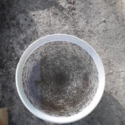 В водоемы Вологодской и Псковской областей заселили в общей сложности более 7 млн личинок нельмы и щуки. Фото пресс-службы Северо-Западного территориального управления Росрыболовства