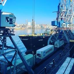 Тарирование и палетирование помогли оперативно разгрузить судно «Царица». Фото пресс-службы Владморрыбпорта