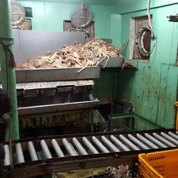 «Подфлажник» Izreal задержали в начале августа с грузом крабовой продукции на борту. Фото пресс-службы Погрануправления ФСБ России по Сахалинской области