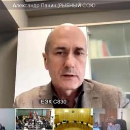 Председатель Рыбного союза Александр ПАНИН