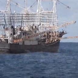 Китайский кальмаролов в водах КНДР. Кадр из видео Global Fishing Watch