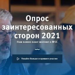 Морской попечительский совет (MSC) запустил глобальный опрос заинтересованных сторон, чтобы собрать мнения о деятельности организации