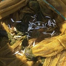 Ученые проводят обследование лососевых рек Приморья. Фото пресс-службы ТИНРО