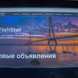 Новый онлайн-сервис FishStat успешно представили на международной рыбопромышленной выставке в Санкт-Петербурге