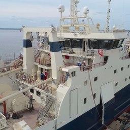 Строительство траулера-процессора «Норвежское море» под инвестквоты на Выборгском судостроительном заводе — готовность судна составляет 98%. Фото пресс-службы верфи