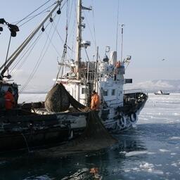 Подчас административный процесс внесения изменений в правила рыболовства не поспевает за реалиями производственной деятельности