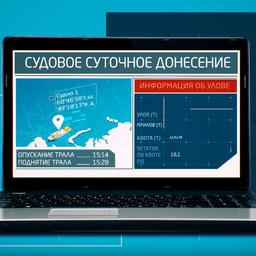 В новых правилах рыболовства для Дальневосточного бассейна предусмотрели возможность подачи судовых суточных донесений в форме электронного документа