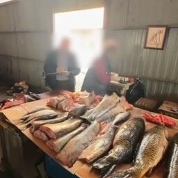 Также полицейские проводят рейды в местах торговли. Кадр оперативной съемки