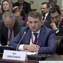 Глава Росрыболовства Илья ШЕСТАКОВ призвал пролонгировать запрет на промышленный лов осетровых, а также совместно бороться с браконьерством. Скриншот видеотрансляции Совета Федерации