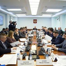 Предстоящая лососевая путина обсуждалась на совещании в Совете Федерации. Фото пресс-службы СФ