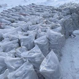 В Ненецком автономном округе правоохранители изъяли две крупные партии наваги, выловленной в акватории Карской губы. Фото пресс-службы Северо-Западного теруправления Росрыболовства