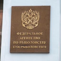 Росрыболовство объявило электронные аукционы на 15 долей квот для добычи наваги, трески, минтая и камбал в различных промысловых районах Дальневосточного бассейна