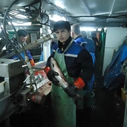 Курсанты ВМРК проходят практику на учебно-производственных судах