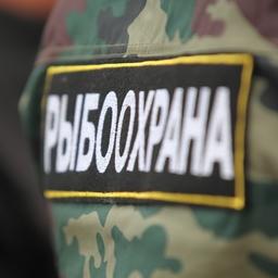 Инспекторы Росрыболовства смогут рассматривать дела об административных нарушениях на ООПТ регионального и местного значения