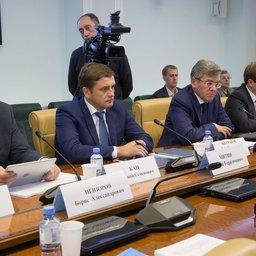В Совете Федерации обсудили предложения ФАС по изменению принципов распределения квот. Фото пресс-службы верхней палаты парламента