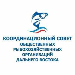 Грядущий второй этап инвестквот и квот с инвестобязательствами обсудили члены Координационного совета рыбохозяйственных ассоциаций Дальнего Востока