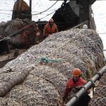 Льгота для «незаходных» судов рискует остаться на бумаге