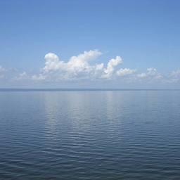 Куйбышевское водохранилище около Ульяновска. Фото из «Википедии»