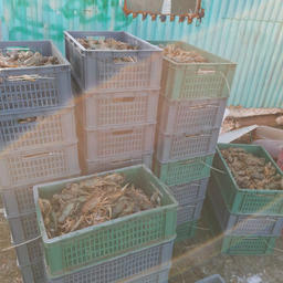 Продукцию реализовывали в соседних регионах и в Москве. Фото пресс-службы МВД Татарстана