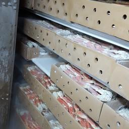 «Подфлажник» Izreal задержали в начале августа с грузом крабовой продукции на борту. Фото пресс-службы Погрануправления ФСБ России по Сахалинской области