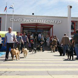 В Иркутске прошла ежегодная выставка «Охота. Рыболовство. Отдых»