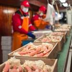 ГК «Русский краб» формирует стандарт качества продукции для всей отрасли. Фото предоставлено пресс-службой группы
