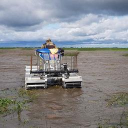 На озере Ильмень проходит второй этап мелиоративных мероприятий. Фото пресс-службы Северо-Западного теруправления Росрыболовства