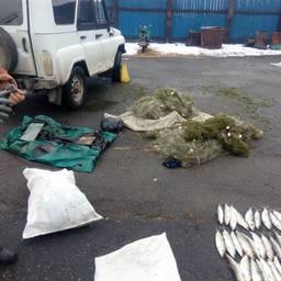 Жителя Республики Бурятия подозревают в незаконной добыче 342 особей нерестового омуля. Фото пресс-службе УМВД России по Республике Бурятия