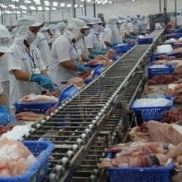 Производство продукции из пангасиуса на вьетнамском заводе. Фото с сайта VASEP