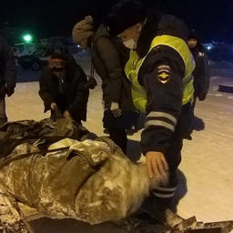 При осмотре снегохода в Дудинке полицейские обнаружили пять незаконно добытых осетров. Фото пресс-службы ГУ МВД России по Красноярскому краю