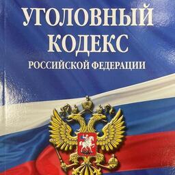 Мужчины обвиняются в совершении преступления, предусмотренного частью 3 статьи 258.1 УК РФ