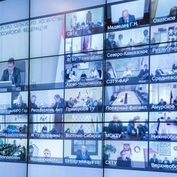 Ряд участников выступил на коллегии по видеосвязи