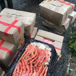 Остановленный грузовик оказался набитым море- и рыбопродукцией. Фото пресс-группы Пограничного управления ФСБ России по Приморскому краю
