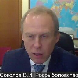 Заместитель руководителя Росрыболовства Василий СОКОЛОВ