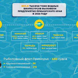 Рыбаки Приморья за прошедший год выловили 803,8 тыс. тонн водных биоресурсов. Изображение предоставлено пресс-службой правительства края